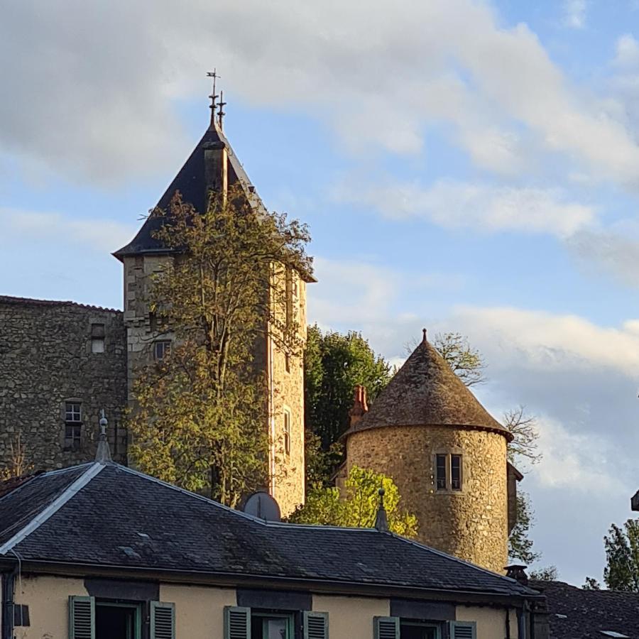 Gite de la Châteldonnaise Exterior foto